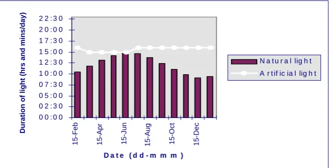 Figure 5.  An example of a step-down lighting programme for February-hatched   organic pullets reared at a latitude of 40°27’N 03°35’W (e.g