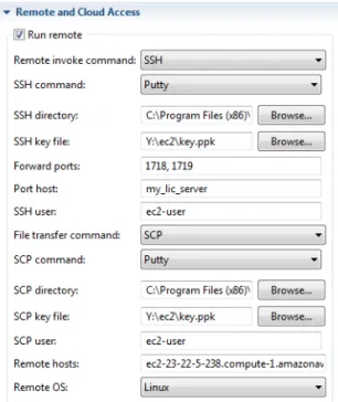 Figure 1-8: An example of Remote and Cloud Access settings section.