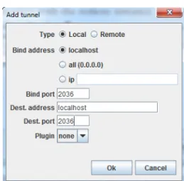 Figure 1-10: Port forwarding for the client-server connection.