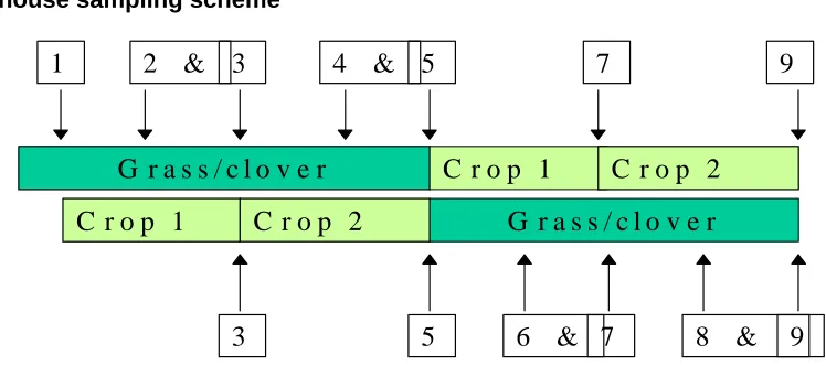 Figure 2 Greenhouse sampling scheme