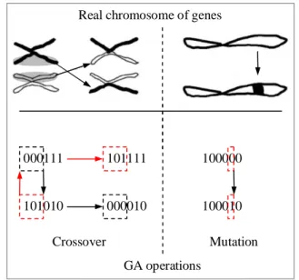 Figure 1. Crossover and mutation. 