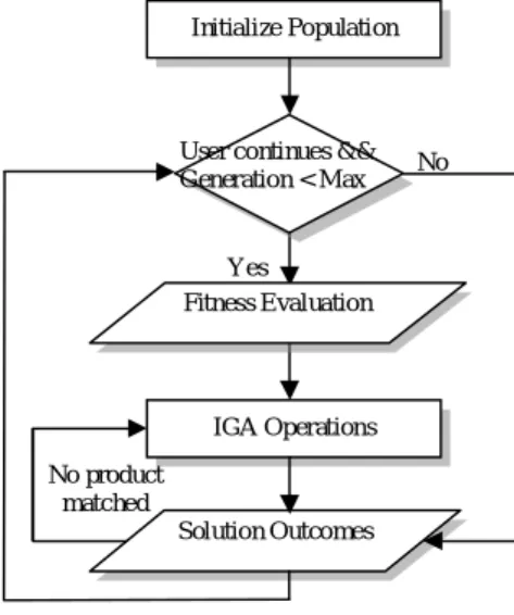 Figure 5. IGA process 