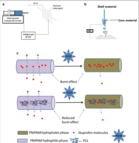 Figure 1 Experimental design a) basic single nozzle electro-spinning setup; b) dual nozzle electro-spinning setup; c) cartoon diagramto indicate the mechanism of reduced burst effects from pNIPAM/IP/PCL composite NFs.