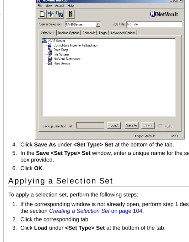 Figure 7-1:  The Backup Selection Set options displayed at the bottom of the Selections tab