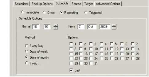 Figure 6-4:  Scheduling options based on days of month recurrence pattern For example, 