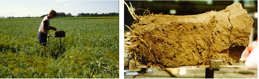 Figure 2. The visual soil evaluation involves studies of the top 30 cm soil (left). The CCS soil appeared dense, with a blocky soil structure (right)