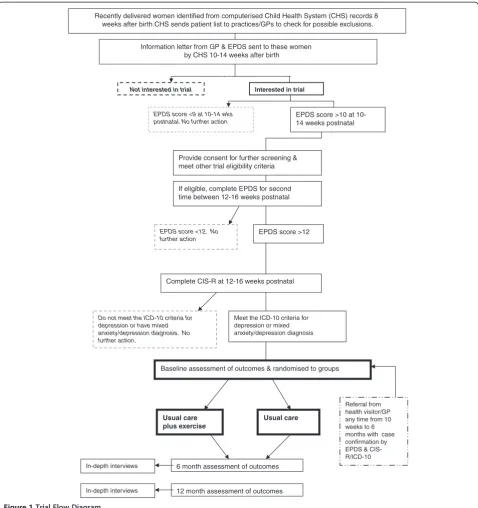 Figure 1 Trial Flow Diagram.