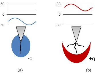 Figure 28. Schematic of space charge distributions at (a) a negatively biased AC voltage and (b) a positively biased AC voltage