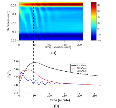 Figure 26 . Space charge measurements during the first charge package movements under 72 kV/mm