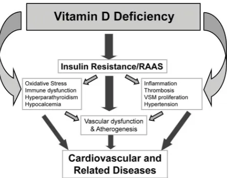 Figure 2.3lead to CVD. Reproduced from Artaza, Mehrotra, & Norris (2009) [1]  