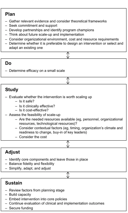 Figure 1 Putting it all together – suggestions for sustainable programs.Notes: the phases in Figure 1 need not be sequential