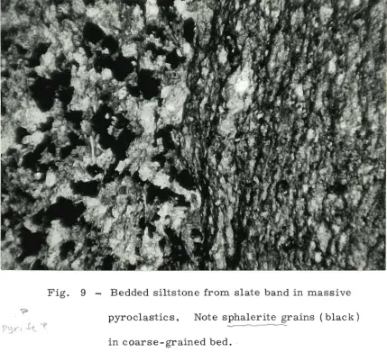 Fig. 9 ...., Bedded siltstone from slate band in massive 