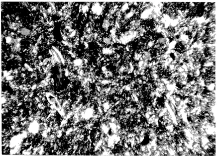 Fig. 11 -Medium-grained siltstone from host rock 