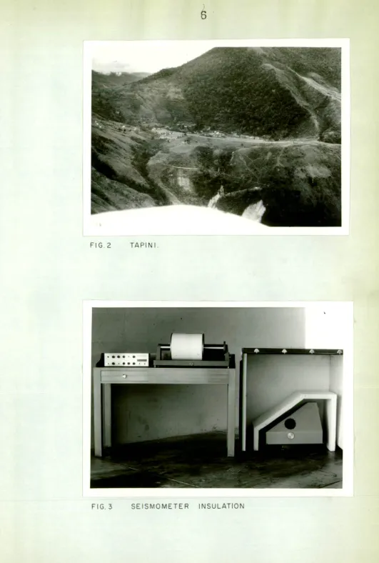FIG 2  TAPINI 