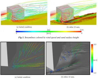 Fig 3. Streamlines colored by wind speed and sand surface height 