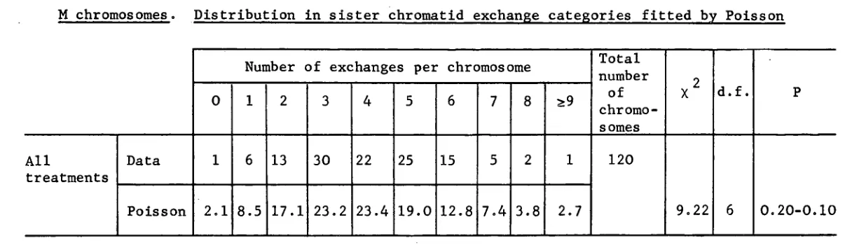 Table 7. M chromosomes. Distribution in sister chromatid exchange categories fitted by Poisson  