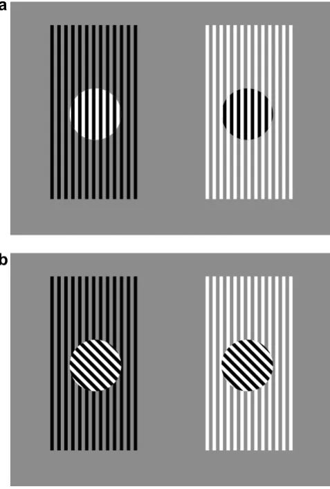 Fig. 5a. The remainder is perceived to be occluded by the