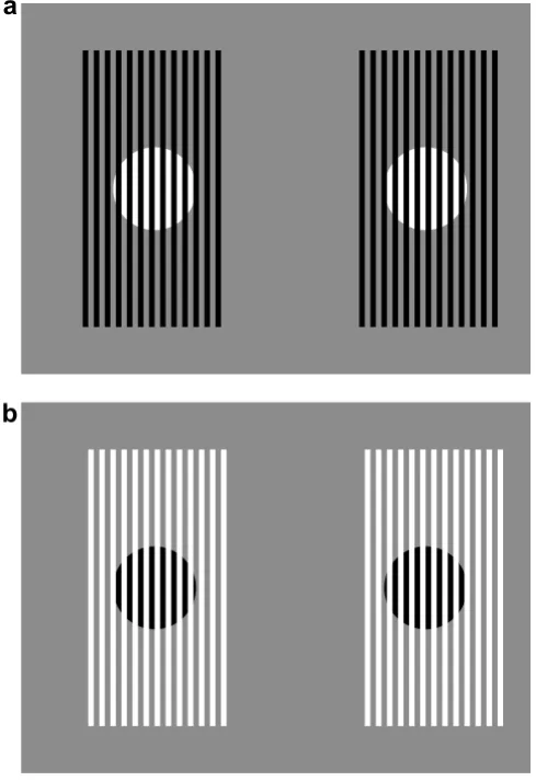 Fig. 7. (a) A simpliﬁed version of Anderson and Winawer’s display with bipartite target regions