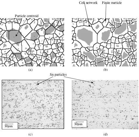 Figure 3.6: (a) A Dirichlet tessellated image. (b) An FBT image (c) Optical image of AS16 