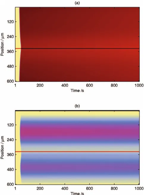FIG. 12. ���Color� Space-space diagrams �600�600 �m2=3.6�105 �m2� showing the variation in the �a� 1�1, �b� total CO, and �c� total oxygen coveragesduring the passage of a simple CO front in a 2D simulation