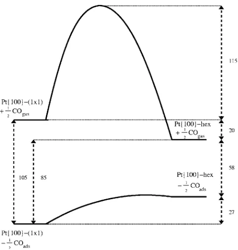 FIG. 1.Schematic energy level diagram for the CO-induced cleanhex↔1�1 phase transition on Pt�100�