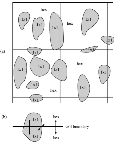 FIG. 3. �a� 1�1 islands growing on a hex surface, with the mesoscopiclattice of cells superimposed