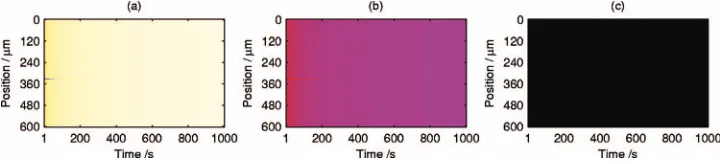 FIG. 5. �0.0=blackdiagrams forColor� Steady evolution to a low CO state at pO2=3�10−5 mbar and pCO=1�10−6 mbar with the same initial conditions as for Fig