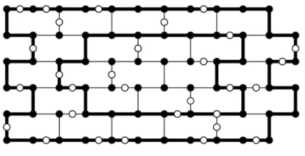 Figure 4. A subdivided wall of height 5 and its two first layers. The first layer is its boundary.
