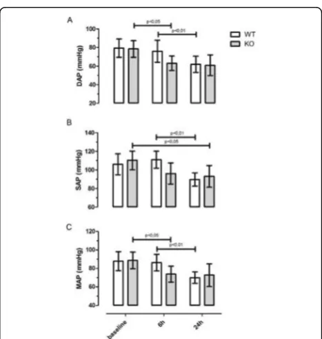 Fig. 16 (abstract P21). Panel A Changes in Fractional Shortening (FS)versus time. Experimental groups are: SV129 WT, SV129 KO for Melusinexpression, where n = 12 for both groups