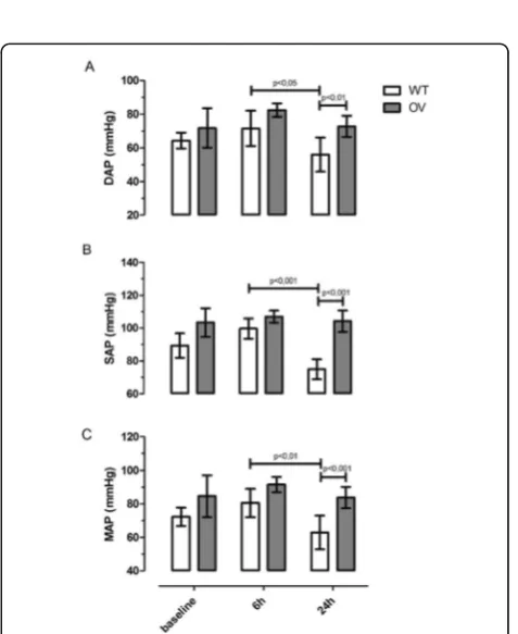 Fig. 18 (abstract P21). Panel A Changes in Fractional Shortening (FS)versus time. Experimental groups are: FVB WT, FVB OV for Melusinexpression, where n = 8 for FVB WT and n = 12 for FVB OV