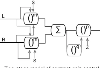 Fig. 1. Schematic diagram of the two-stage model of Meese et al. (2006)The left and right channels (L and R) pass through a stage of monocularexcitation and binocular suppression (stage 1), followed by binocularsummation and a second stage of contrast gain