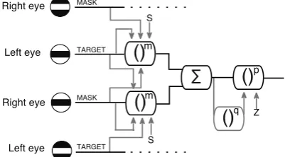 Fig. 3. Schematic diagram of the two-stage model (Fig. 1accommodate masking from dichoptic antiphase gratings