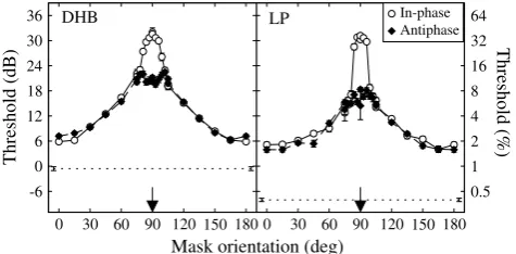 Fig. 5. Dichoptic orientation tuning functions. Mask and target gratingswere either in-phase (open circles), or out of phase by 180� (ﬁlleddiamonds)