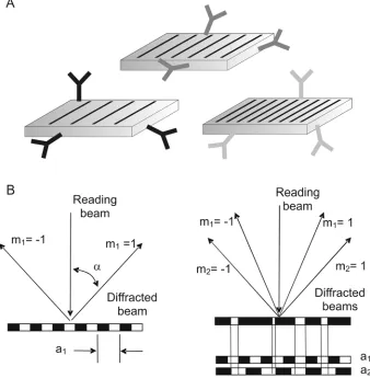 Figure 1. (A) A number of different types of molecule are each attached to a uniquely encoded bead