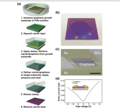 Figure 2g.case) on the graphene growth substrate, followed by the