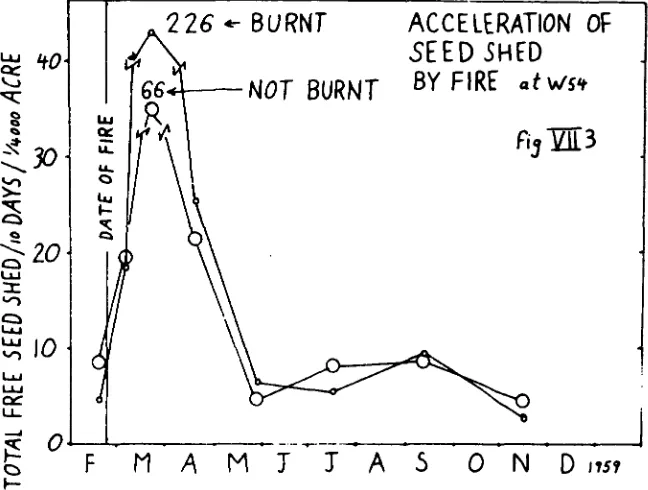 Figure VII. 4 : Effect of season and fire on the rate of leaf shed as measured by fixed traps underneath four different groups of trees