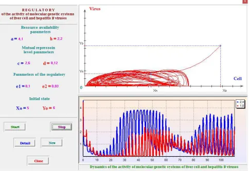 Figure 2. The regime of irregular oscillations of the regulatory of hepatocyte and hepatitis B viruses