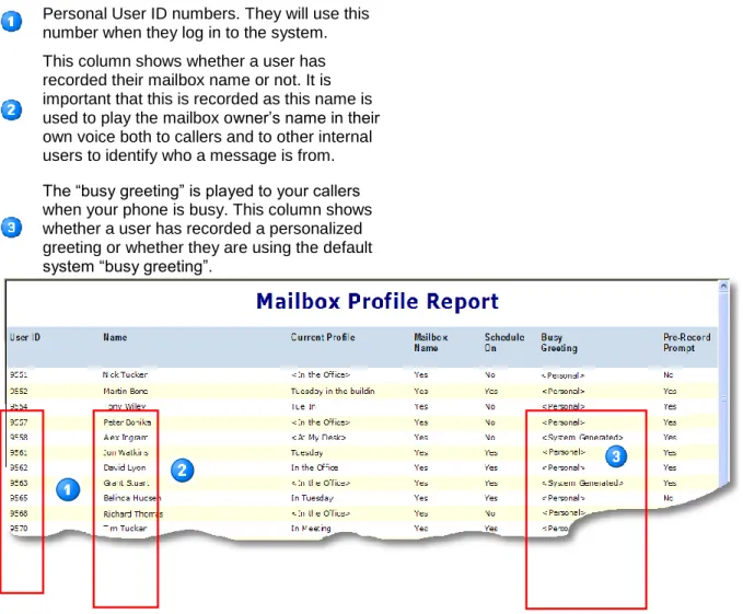 Figure 8.  Mailbox Profile Report 