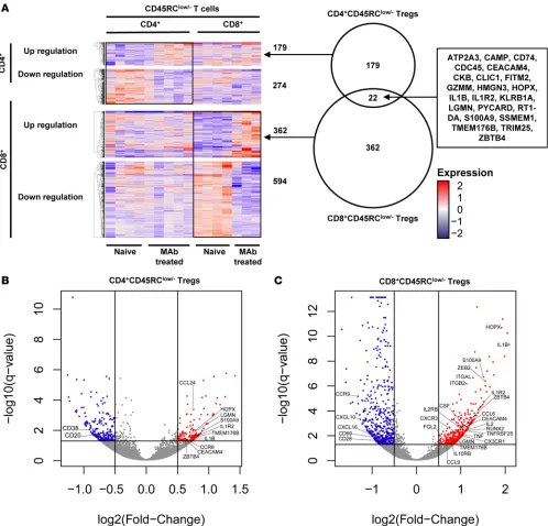 Figure 5. Transient anti-CD45RC mAb treatment results in sustained transcriptional changes in long-term CD8+expressed genes are presented as a heatmap; low expression levels are in blue, mean expression levels are in white, and high expression levels are i