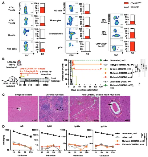 Figure 1. Transient anti-CD45RC mAb treatment induces donor-specific transplant tolerance in a fully mismatched cardiac allograft model in the rat
