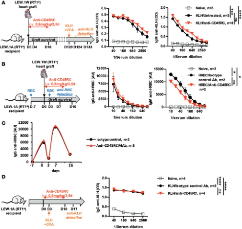 Figure 2. Transient anti-CD45RC mAb treatment preserves humoral and memory immunity toward cognate antigen
