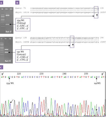 Figure  7: Specificity of the primer sets for the optimised nested allele-specific PCR for DRD2 polymorphisms