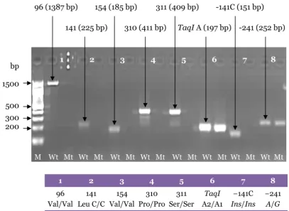 Figure 4: Uniplex second PCR products carried out with the specific primers for Val96Ala, Leu141Leu, Val154Ile, Pro310Ser, Ser311Cys, TaqI A, −141C Ins/Del, and A-241G polymorphisms