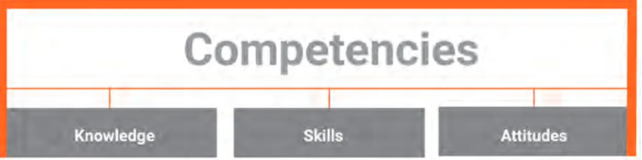 Figure 1 Competency composition