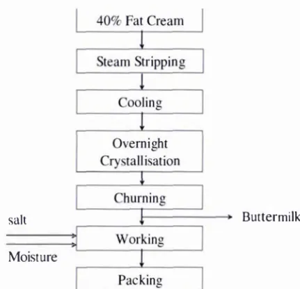 Figure 2.4: The Fritz buttermaking process (Phiipott, 1999) 
