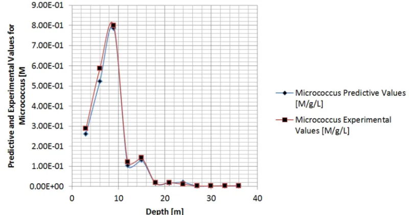 Figure 8. Predictive Values of micrococcus Concentration at Different Depth. 