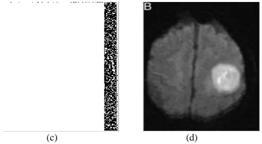 Fig 3(a) Original Image (b) Encrypted Image (c) Encrypted image with data hiding (d) Recovered original image as well as data