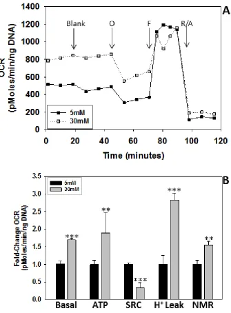 Figure 2.3 A & B: Bioenergetic profile of 3T3-L1 adipocytes in 5 mM and 30 mM  glucose