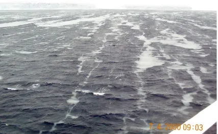 Figure 1.1: Frazil ice forming in a coastal polynya off Kap Norvegia in the Antarctic