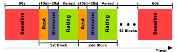 Fig. 5 Visual representation of the protocol used in the experimental phase for Dataset 2